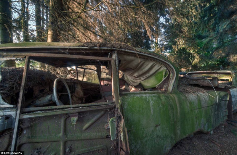 Illustration for article titled Chatillon, Belgium. The Graveyard Of The Cars Of The American Soldiers Deployed In Europe, Who Didn't Take Them Back To The U.S.A.